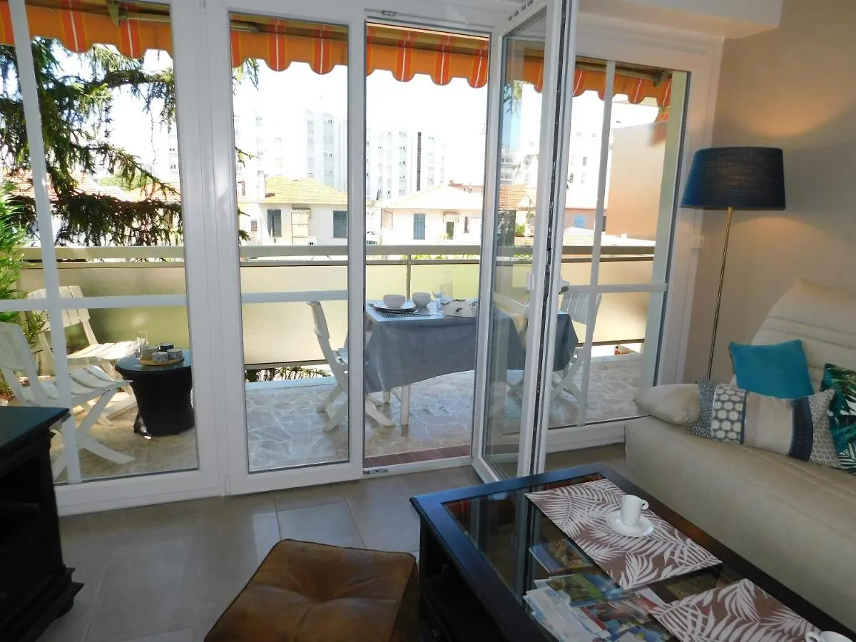 T2 Standing Vitoria Climatise Avec Parking, Proche Plage Antibes France